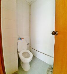 Gold Palm Mansion (D15), Apartment #502421121